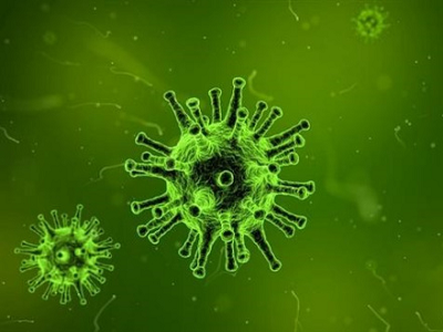 Rapid Antígeno ITU APA: Características do vírus