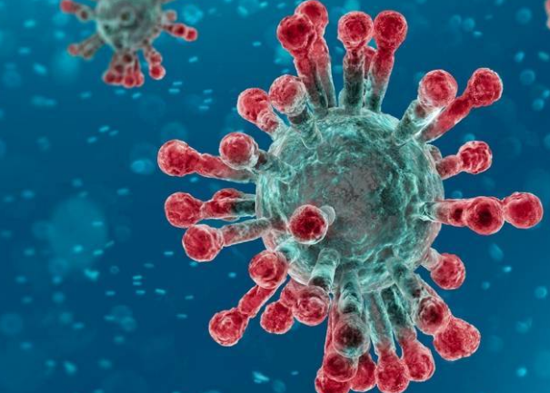 Novo desenvolvimento da vacina contra coronavírus